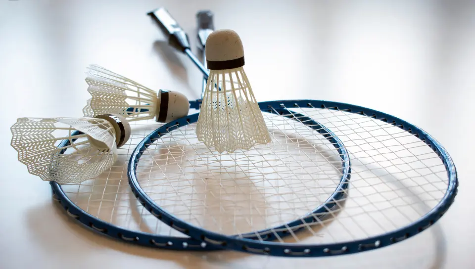Regras do Badminton