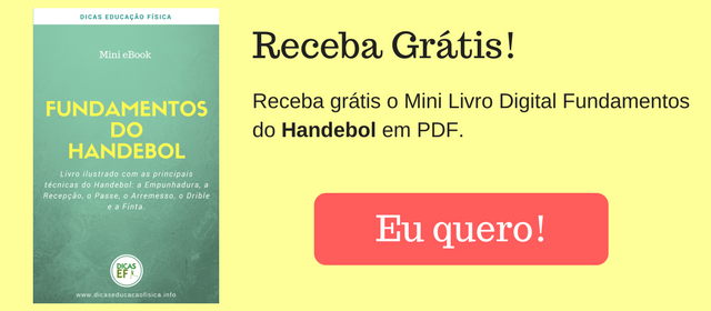 Livro Fundamentos do Handebol