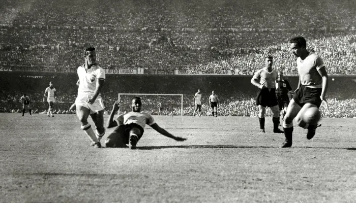 Ademir Menezes was the top scorer of the 1950 World Cup