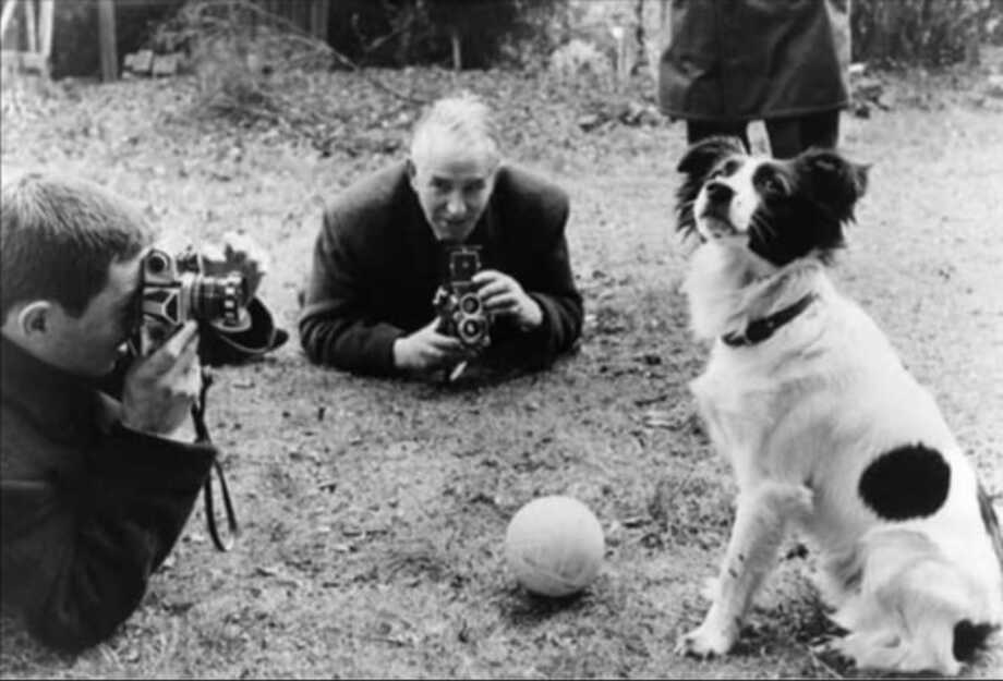 Pickles, The Dog who Found the Cup