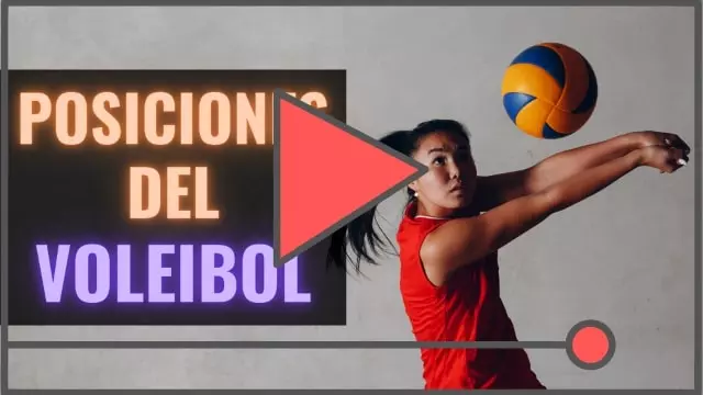 Posiciones del Voleibol