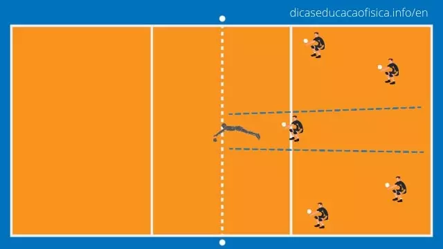 Defensive Systems in Volleyball