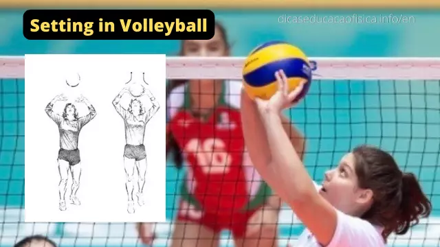Setting in Volleyball