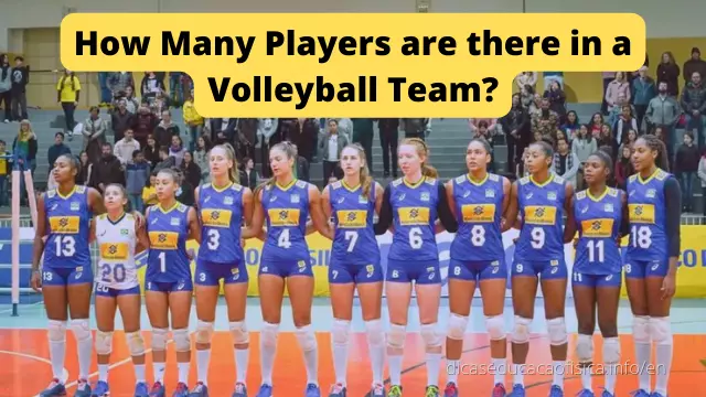How Many Players are there in a Volleyball | DEF