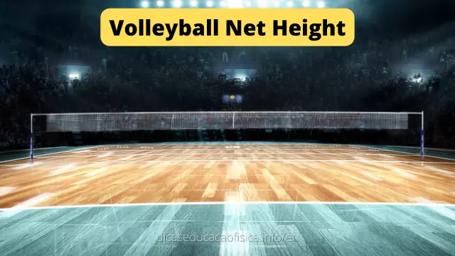 Volleyball Net Height