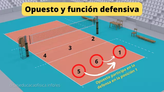 Ataques en posiciones con enroque opuestos 