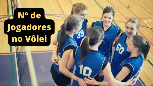Quantos Jogadores têm uma equipe de Vôlei