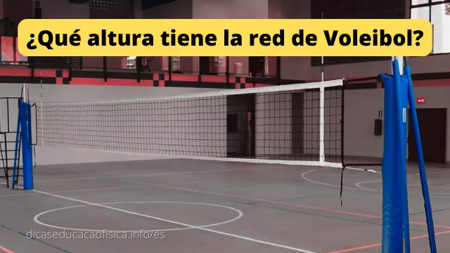 Vegetación vitalidad flaco Qué altura tiene la red de Voleibol? | DEF