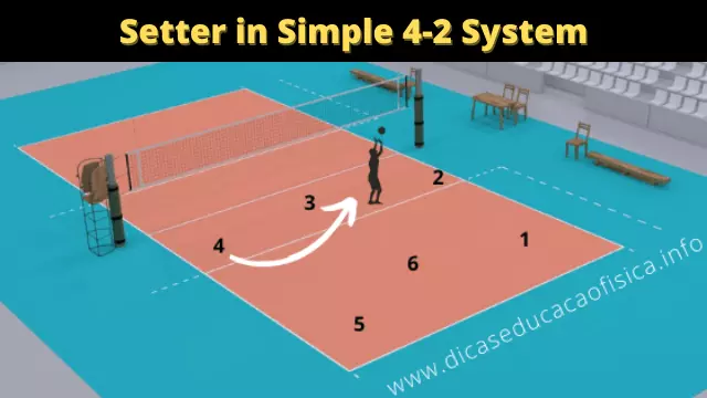 Setter in simple 4-2 system