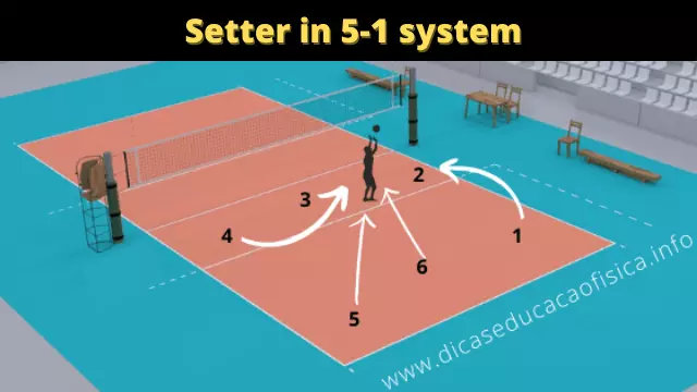 Setter in 5-1 system