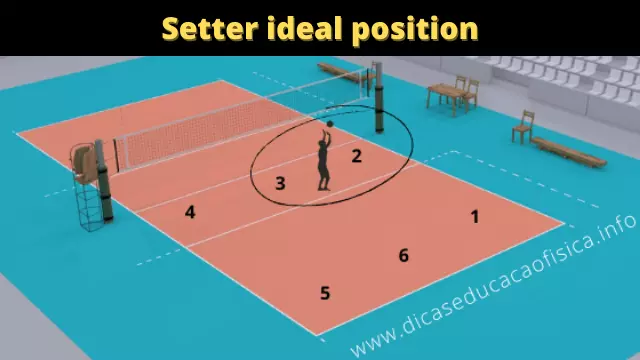 Setter ideal position