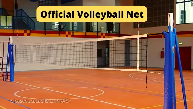 Official Volleyball Net