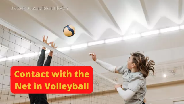 Contact with the Net in Volleyball