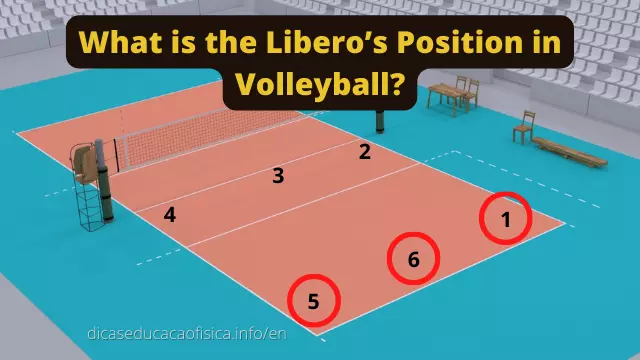 What Is The Role Of The Libero In Volleyball Dicas Educação Física