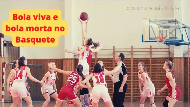 Status da bola no Basquete: bola viva e bola morta