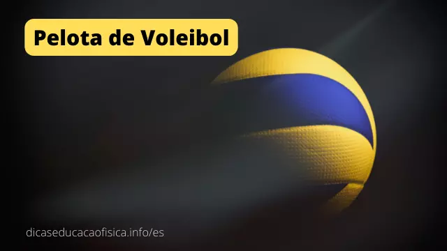 Pelota de Voleibol