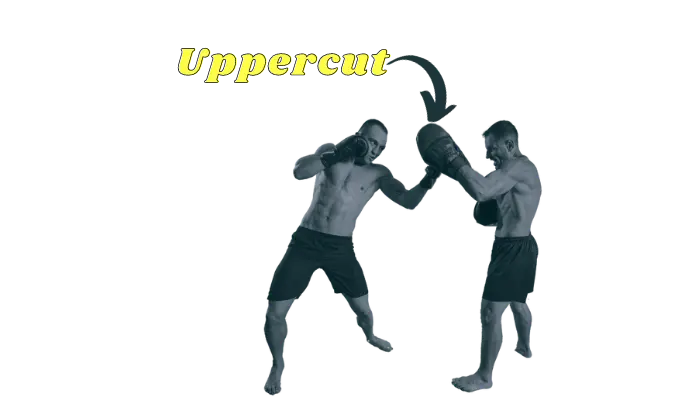 Uppercut in Muay Thai